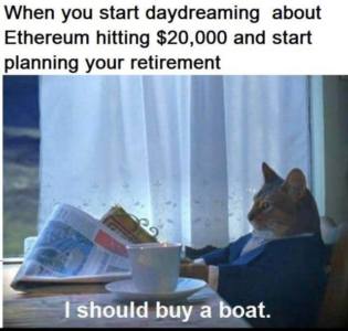 An Ethereum meme